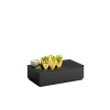 APS Caisse GN1/3 bois noir 32,5x17,6x8,5 cm Valo Clearance