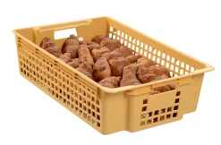 Caisse plastique beige 60x38x15,5 cm 28 L Sans couvercle - GILAC Outlet