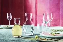 Carafe verre cristallin 114 cl Ypsilon Wine - BORMIOLI ROCCO Best
