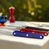 Coffret de 4 couteaux de table bleu 22 cm Joseph - TARRERIAS BONJEAN New