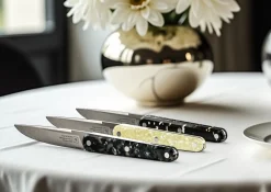 Coffret de 4 couteaux de table 22 cm Joseph - TARRERIAS BONJEAN Sale