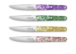 TARRERIAS BONJEAN Coffret de 4 couteaux de table multicolore 22 cm Joseph Best