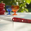 Coffret de 4 couteaux de table rouge 22 cm Joseph - TARRERIAS BONJEAN Online