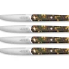 Coffret de 4 couteaux de table vert 22 cm Joseph - TARRERIAS BONJEAN
