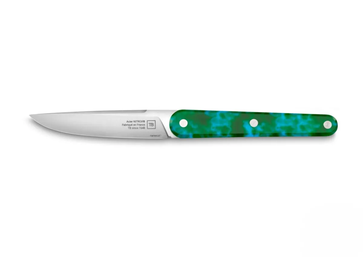 Coffret de 4 couteaux de table vert 22 cm Joseph - TARRERIAS BONJEAN