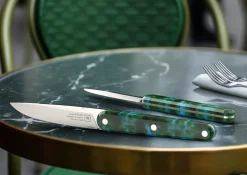 Coffret de 4 couteaux de table vert 22 cm Joseph - TARRERIAS BONJEAN