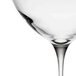 NUDE Coupe coupetini verre cristallin 17 cl Savage Hot