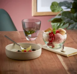Coupe à dessert transparent verre recyclé Ø 11 cm Lily - PRO.MUNDI