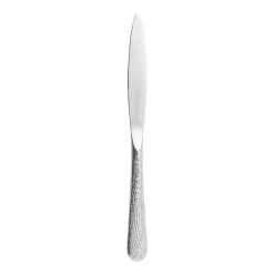 Couteau à dessert 20 cm Aquatic Supernature - DEGRENNE Clearance