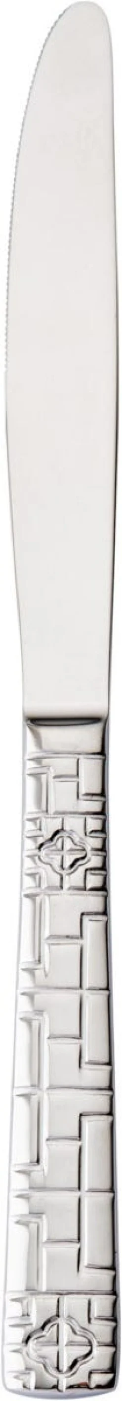 Couteau à dessert 21,5 cm Trevi - ETERNUM Discount