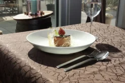 RAK Couteau à dessert monobloc 25 cm Nano Outlet