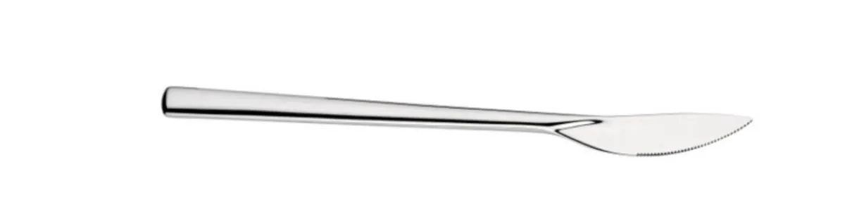 Couteau à dessert monobloc 21 cm Tecna - PINTINOX Online