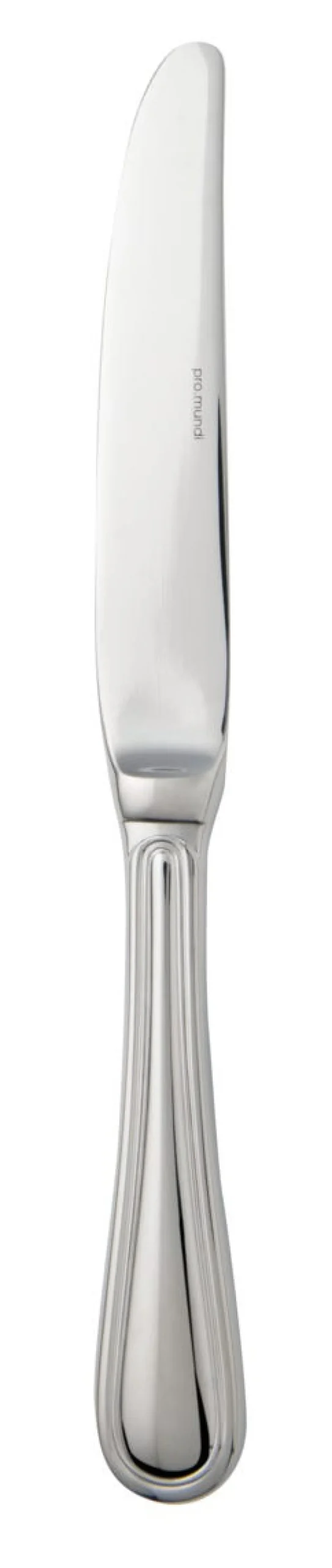 Couteau à dessert monocoque 19,8 cm Harmony - PRO.MUNDI