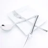 PINTINOX Couteau de table monobloc 24,5 cm Concept Online