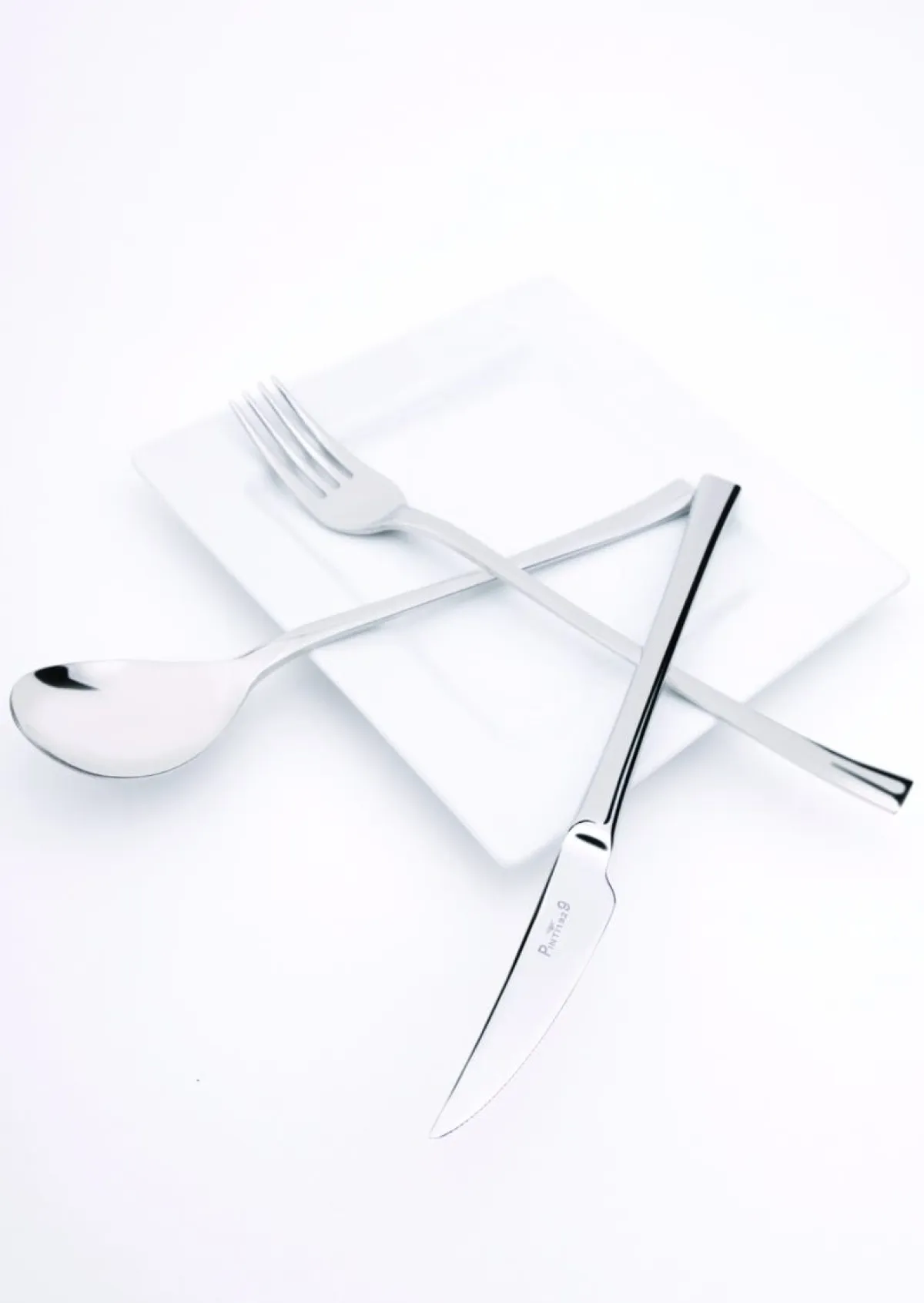 PINTINOX Couteau de table monobloc 24,5 cm Concept Online
