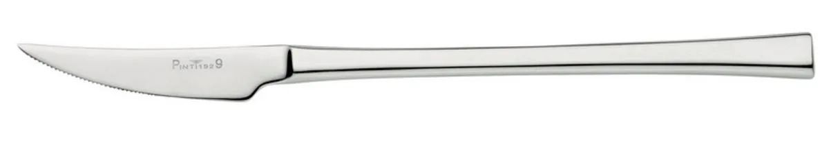PINTINOX Couteau de table monobloc 24,5 cm Concept Online