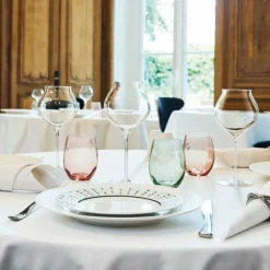 Couteau de table monobloc cranté 25 cm Ezzo - CHEF & SOMMELIER Outlet