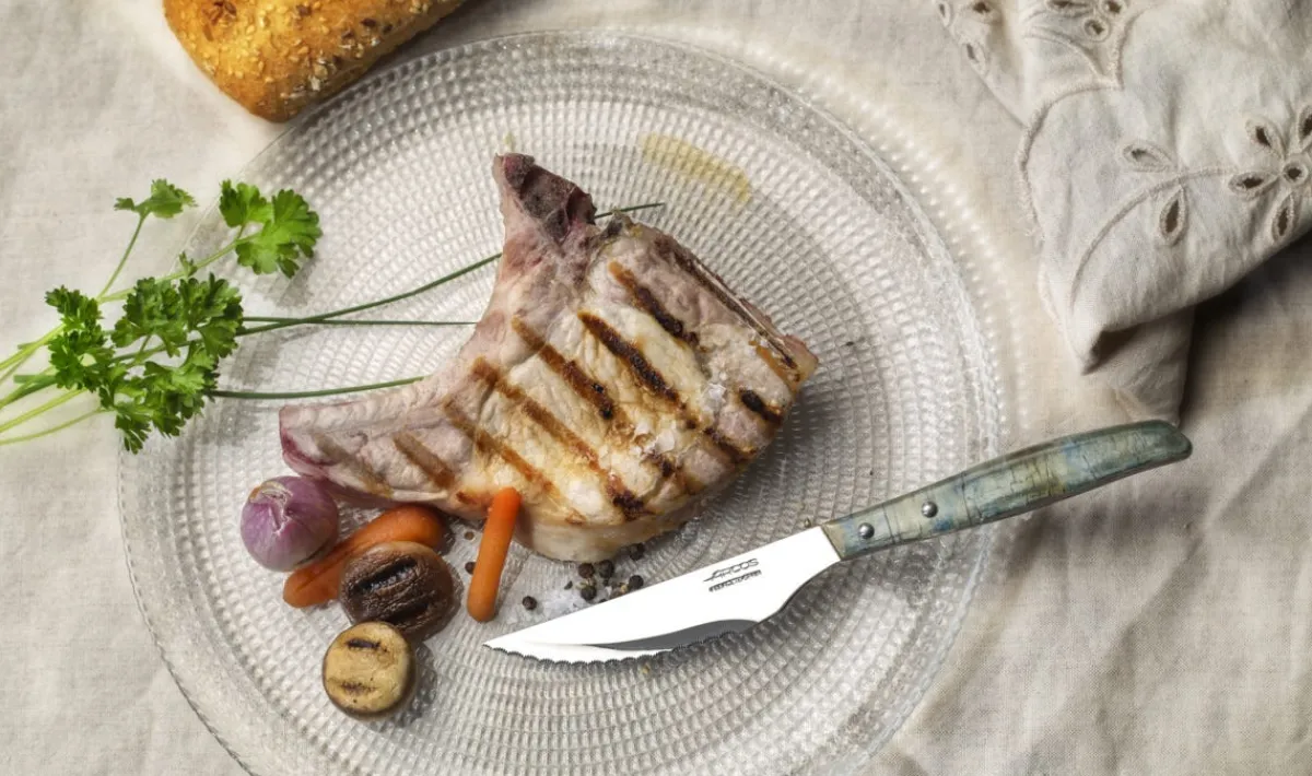 ARCOS Couteau à steak bleu 22 cm Online