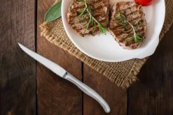 PRO.MUNDI Couteau à steak 23 cm Profile