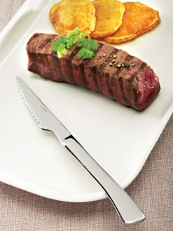 Couteau à steak 22,4 cm Shark - PRO.MUNDI Discount