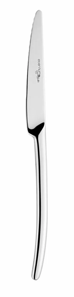 Couteau à steak monobloc cranté 22,5 cm Alaska - ETERNUM Online