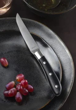 Couteau à steak noir 23 cm Achille - AMEFA Clearance