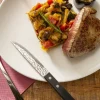 PRO.MUNDI Couteau à steak noir 21 cm Elite Best