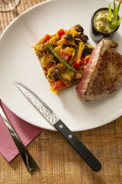 PRO.MUNDI Couteau à steak noir 21 cm Elite Best