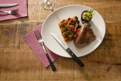 PRO.MUNDI Couteau à steak noir 21 cm Elite Best