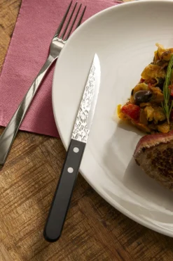 PRO.MUNDI Couteau à steak noir 21 cm Elite Best