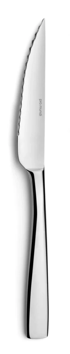 Couteau à steak 21,9x1,9 cm Odyssee - PRO.MUNDI Clearance