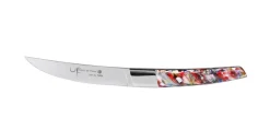 Couteaux à steak 25 cm (4 pièces) - AU NAIN Hot