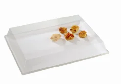 Couvercle pour plateau rectangulaire transparent plastique 38,5x27,5x5,5 cm Oxstal (100 pièces) - PRO.MUNDI Hot