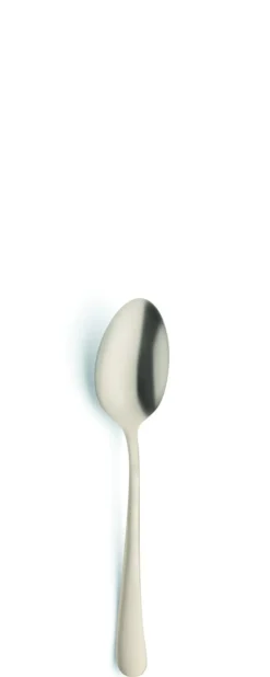 AMEFA Cuillère à café or inox 18/0 14,2x2,8 cm Austin Pvd Champagne Best
