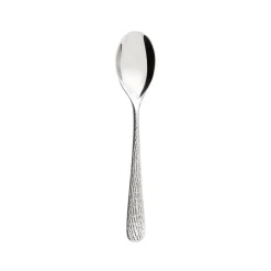 Cuillère à dessert inox 18/10 18 cm Aquatic Supernature - DEGRENNE New