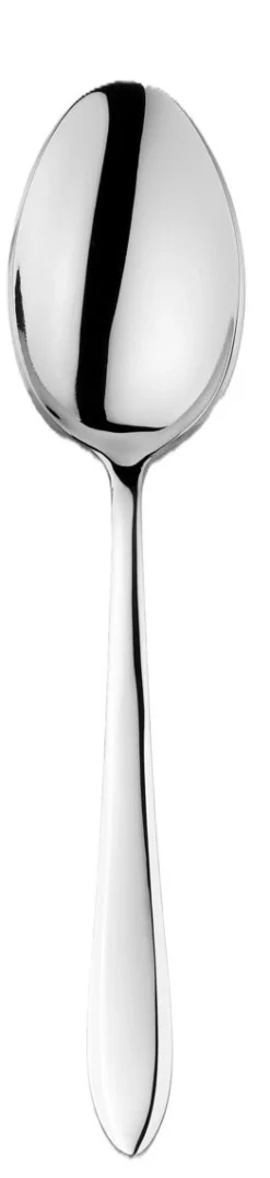 Cuillère à dessert inox 18/10 18 cm Norway - DEGRENNE Clearance