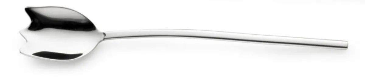 Cuillère à dessert inox 18/0 20 cm Tulipani - PINTINOX New