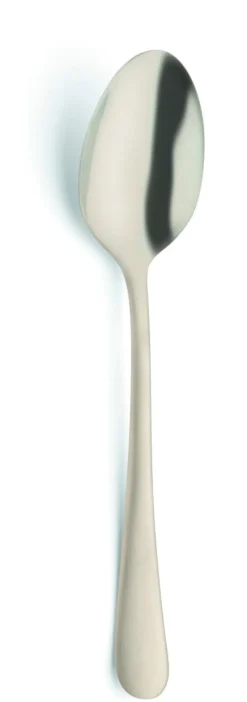 AMEFA Cuillère à dessert or inox 18/0 18,5x3,7 cm Austin Pvd Champagne