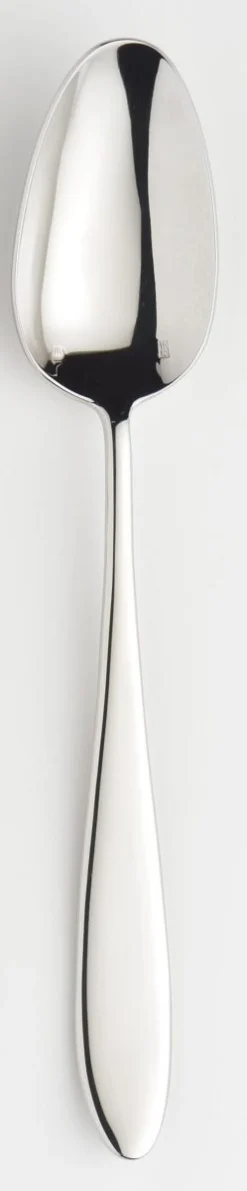 Cuillère de table inox 18/10 21,4 cm Anzo - ETERNUM New