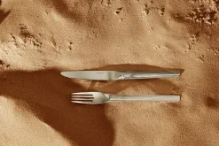Cuillère de table inox 18/10 20,8 cm Rivage - DEGRENNE Best