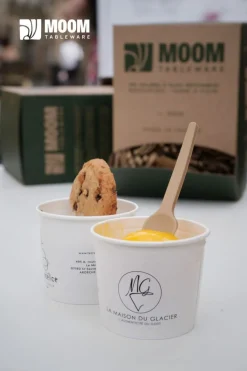 Cuillère à glace bagasse 9,5 cm (400 pièces) - Moom Tableware Sale