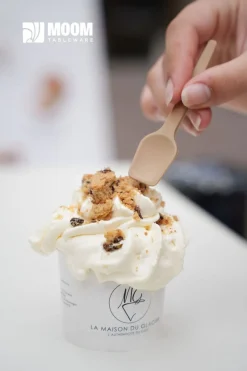 Cuillère à glace bagasse 9,5 cm (400 pièces) - Moom Tableware Sale