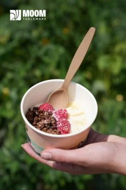 Cuillère à glace bagasse 9,5 cm (400 pièces) - Moom Tableware Sale