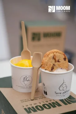 Cuillère à glace bagasse 9,5 cm (400 pièces) - Moom Tableware Sale