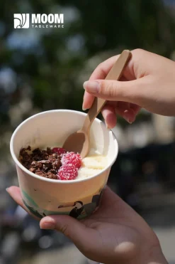 Cuillère à glace bagasse 9,5 cm (400 pièces) - Moom Tableware Sale