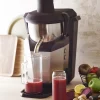 SANTOS Extracteur à jus gris 120 L/h Sale