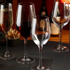 PRO.MUNDI Flûte verre 16 cl Allegro Discount