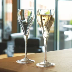 ARCOROC Flûte verre 16 cl Brio Best