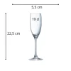 Flûte verre 19 cl Vina - ARCOROC