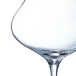 CHEF & SOMMELIER Flûte verre cristallin 30 cl Macaron Fascination Hot